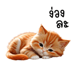 645801389