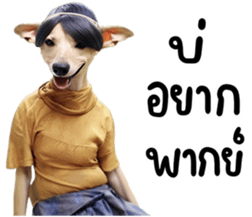 645803072