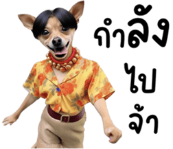 645803358