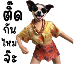 645803366