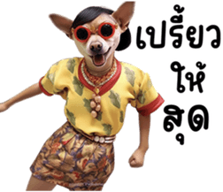 645803373