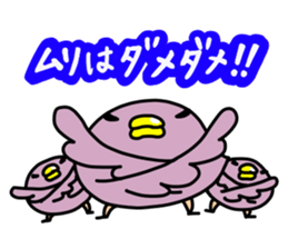 6458055