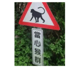 645810457