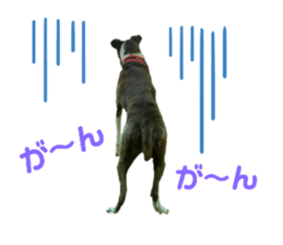 645816201