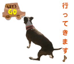 645816209