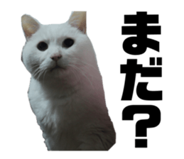 645823775