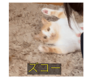 645825336