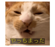 645825343