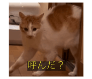 645825344