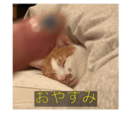 645825346