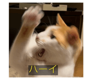 645825348