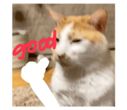 645825350