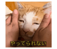 645825351