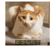 645825353