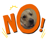 645825737