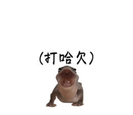 645833561