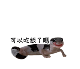645833565