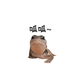 645833573