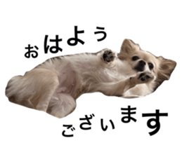 645846606