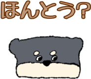 645853925