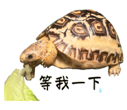 645865864