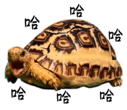 645865866