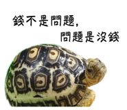 645865869