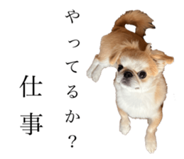 645871374