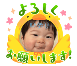 645873376
