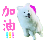 645875361