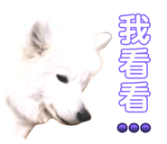 645875365