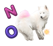 645875368