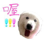645875375