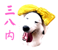 645875377