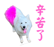 645875379