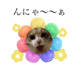 645877866