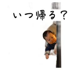 645880388