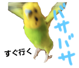 645883898