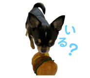 645884983