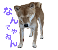 645884984