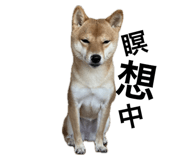 645884987