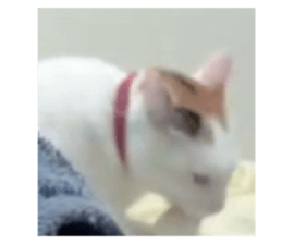 645885809