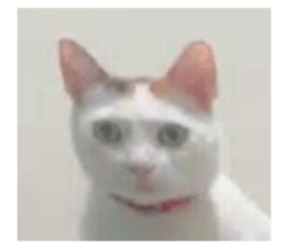 645885810