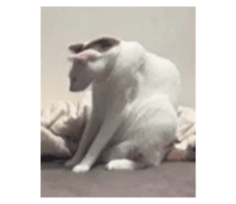 645885811