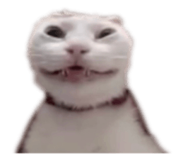 645885812