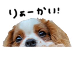 645886190