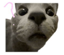 645888371