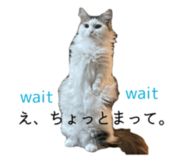 645891736