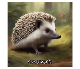 645893850