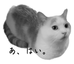 645894993
